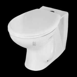 back to wall pan top entry flush